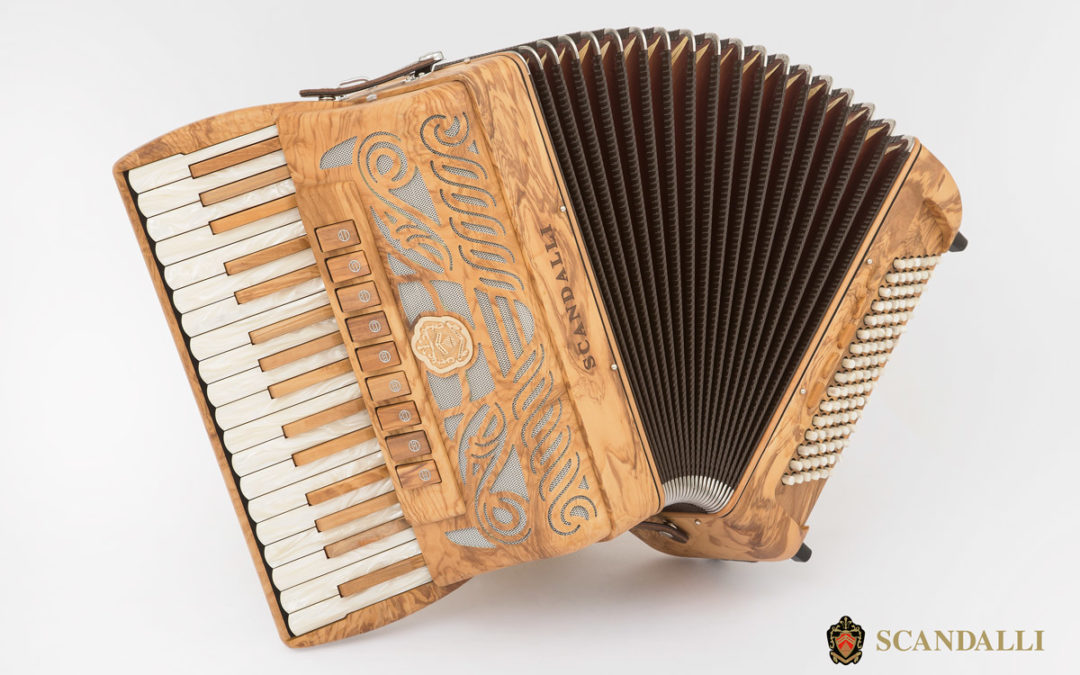 New accordion TIERRA